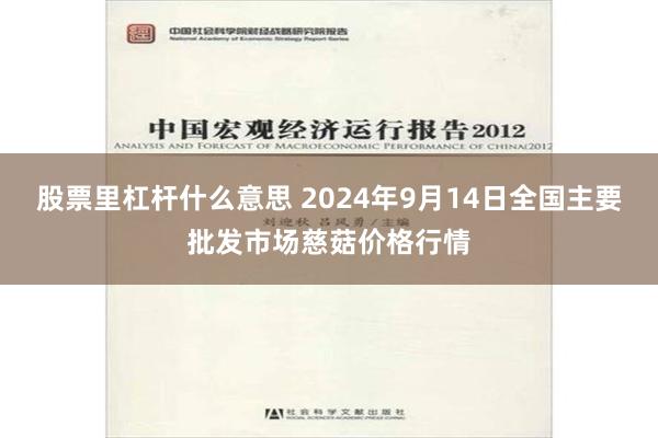 股票里杠杆什么意思 2024年9月14日全国主要批发市场慈菇价格行情