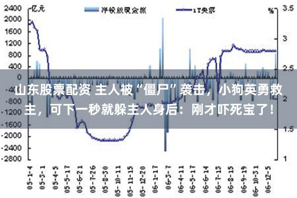 山东股票配资 主人被“僵尸”袭击，小狗英勇救主，可下一秒就躲主人身后：刚才吓死宝了！