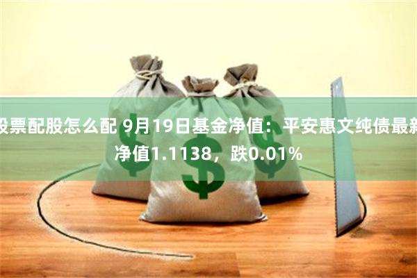 股票配股怎么配 9月19日基金净值：平安惠文纯债最新净值1.1138，跌0.01%