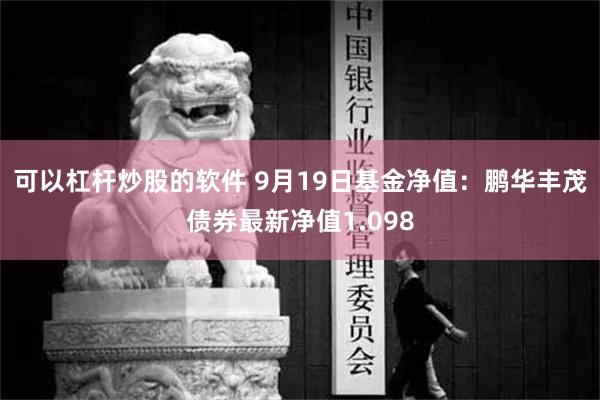 可以杠杆炒股的软件 9月19日基金净值：鹏华丰茂债券最新净值1.098