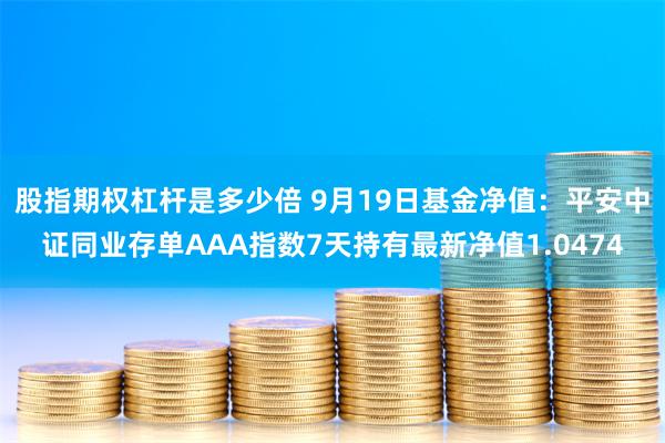 股指期权杠杆是多少倍 9月19日基金净值：平安中证同业存单AAA指数7天持有最新净值1.0474