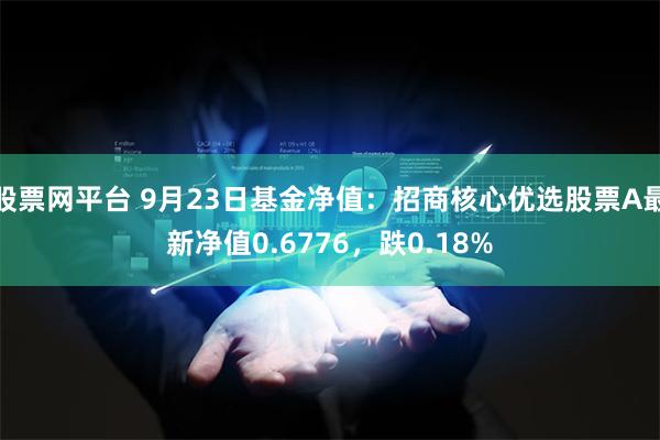 股票网平台 9月23日基金净值：招商核心优选股票A最新净值0.6776，跌0.18%