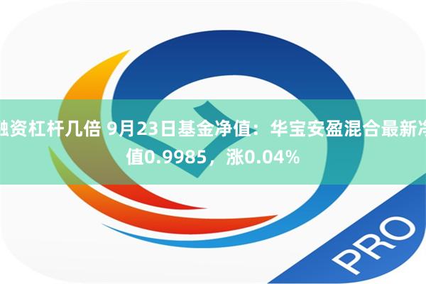 融资杠杆几倍 9月23日基金净值：华宝安盈混合最新净值0.9985，涨0.04%