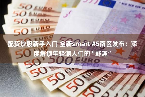 配资炒股新手入门 全新smart #5南区发布：深度解锁年轻潮人们的“野趣”