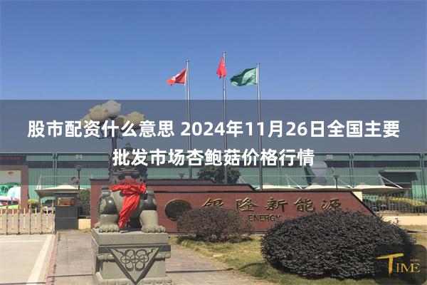 股市配资什么意思 2024年11月26日全国主要批发市场杏鲍菇价格行情