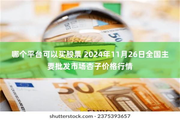 哪个平台可以买股票 2024年11月26日全国主要批发市场杏子价格行情