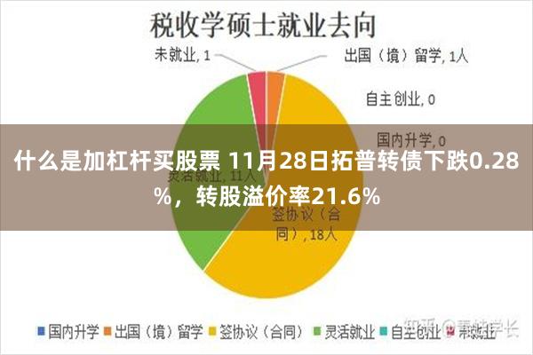 什么是加杠杆买股票 11月28日拓普转债下跌0.28%，转股溢价率21.6%