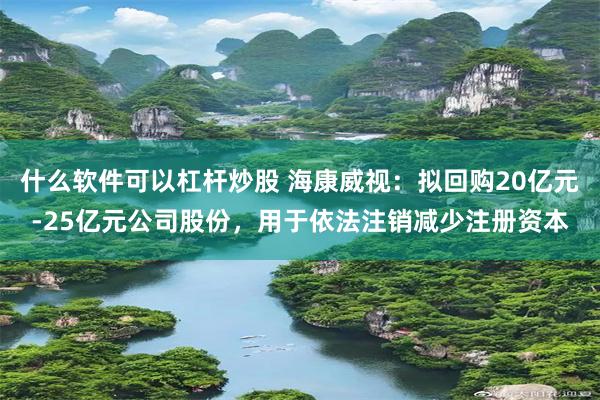 什么软件可以杠杆炒股 海康威视：拟回购20亿元-25亿元公司股份，用于依法注销减少注册资本