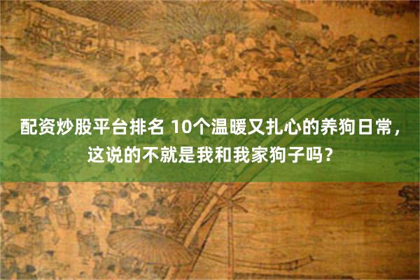 配资炒股平台排名 10个温暖又扎心的养狗日常，这说的不就是我和我家狗子吗？