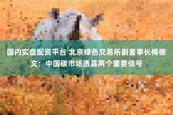 国内实盘配资平台 北京绿色交易所副董事长梅德文：中国碳市场透露两个重要信号