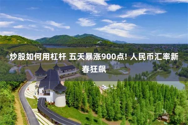 炒股如何用杠杆 五天暴涨900点! 人民币汇率新春狂飙