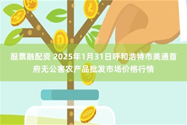 股票融配资 2025年1月31日呼和浩特市美通首府无公害农产品批发市场价格行情