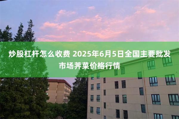 炒股杠杆怎么收费 2025年6月5日全国主要批发市场荠菜价格行情