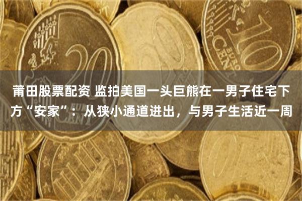莆田股票配资 监拍美国一头巨熊在一男子住宅下方“安家”：从狭小通道进出，与男子生活近一周