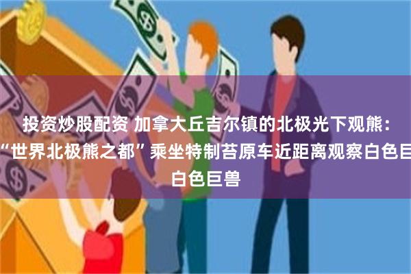 投资炒股配资 加拿大丘吉尔镇的北极光下观熊：在“世界北极熊之都”乘坐特制苔原车近距离观察白色巨兽