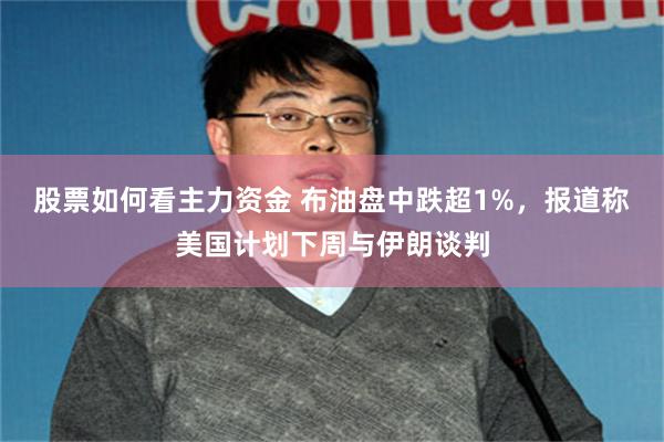 股票如何看主力资金 布油盘中跌超1%，报道称美国计划下周与伊朗谈判