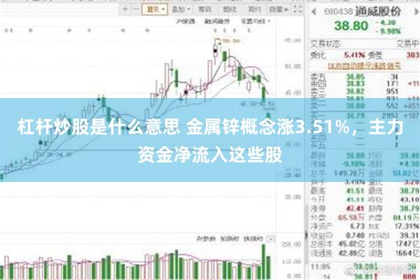 杠杆炒股是什么意思 金属锌概念涨3.51%，主力资金净流入这些股