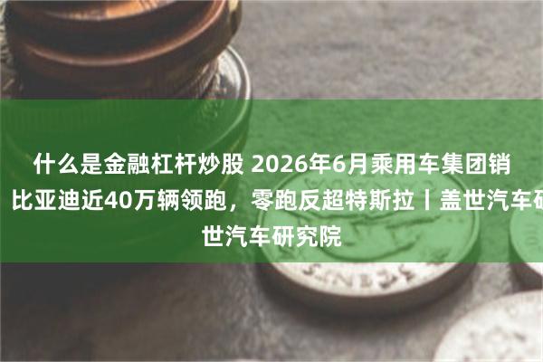什么是金融杠杆炒股 2026年6月乘用车集团销量榜：比亚迪近40万辆领跑，零跑反超特斯拉丨盖世汽车研究院
