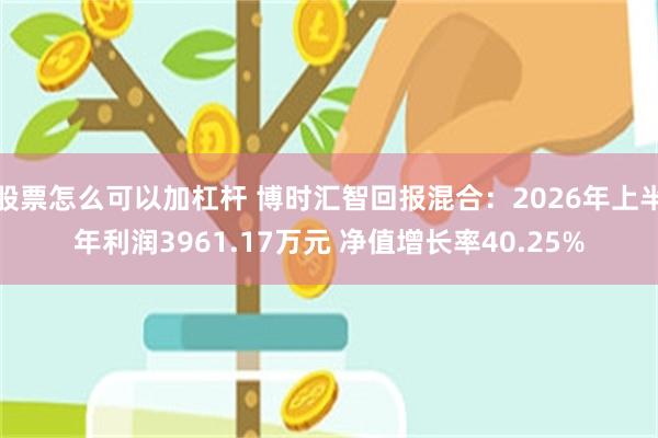 股票怎么可以加杠杆 博时汇智回报混合：2026年上半年利润3961.17万元 净值增长率40.25%