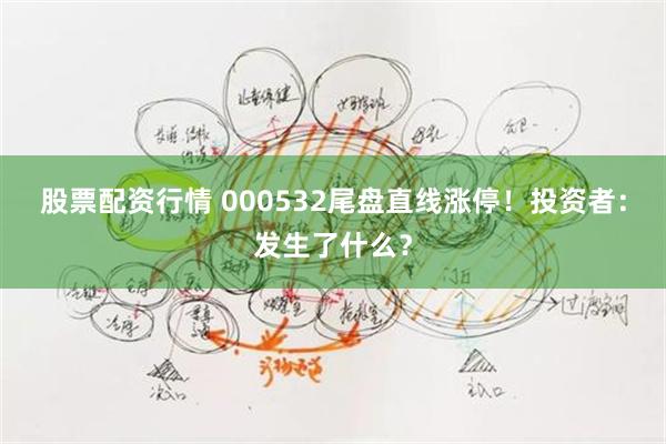 股票配资行情 000532尾盘直线涨停！投资者：发生了什么？