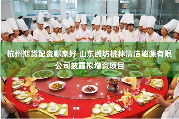 杭州期货配资哪家好 山东潍坊桃林清洁能源有限公司披露拟增资项目